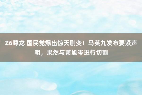 Z6尊龙 国民党爆出惊天剧变！马英九发布要紧声明，果然与萧旭岑进行切割