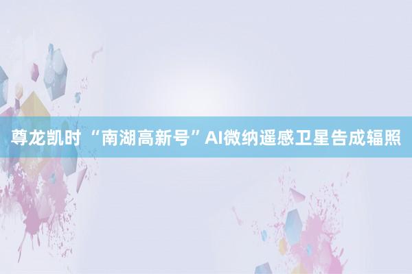 尊龙凯时 “南湖高新号”AI微纳遥感卫星告成辐照