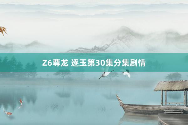 Z6尊龙 逐玉第30集分集剧情